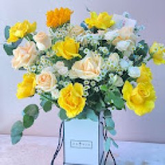 Seller Image